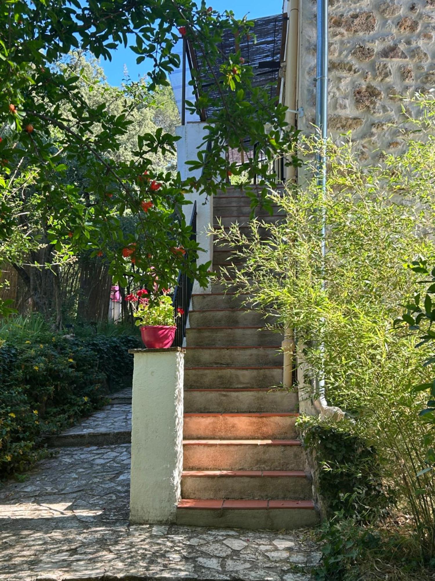 弗莱约斯克Bastide Des Hesperides公寓 外观 照片